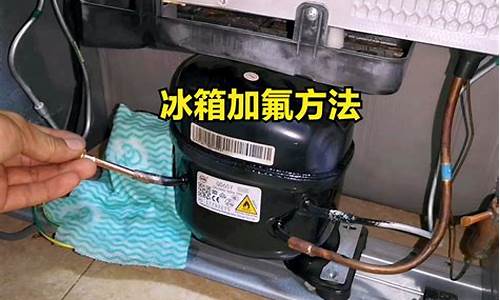 怎样给冰箱加氟的_怎样给冰箱加氟