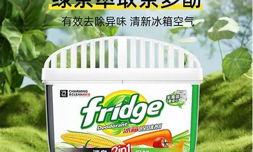 冰箱除味盒可以放冷冻室吗_冰箱除味